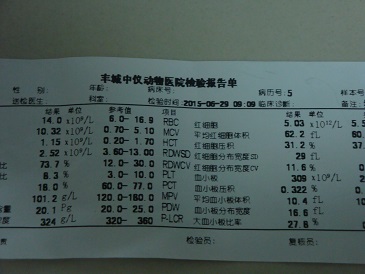 DSC0819913.jpg
