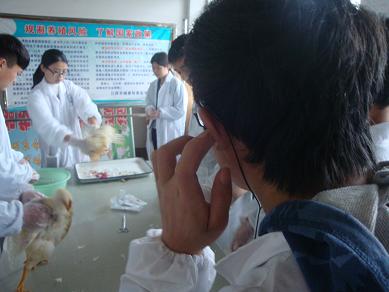 DSC08363.JPG
