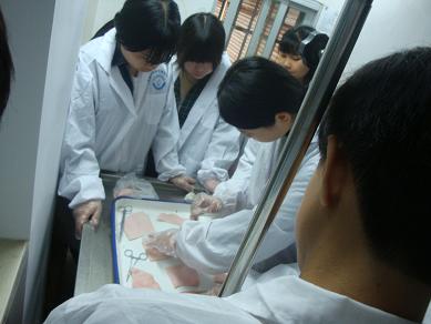 DSC08365.JPG