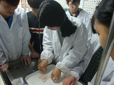 DSC08376.JPG