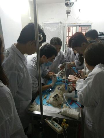 QQ图片20161104144452.jpg