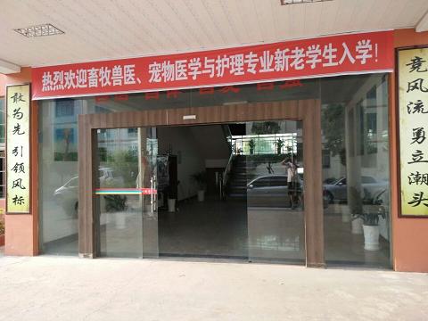 qq1.JPG