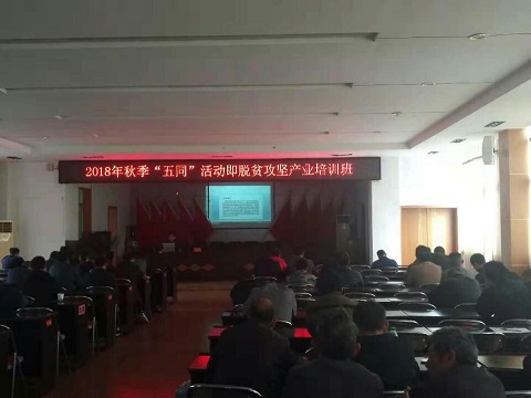 QQ图片20181109204051.jpg