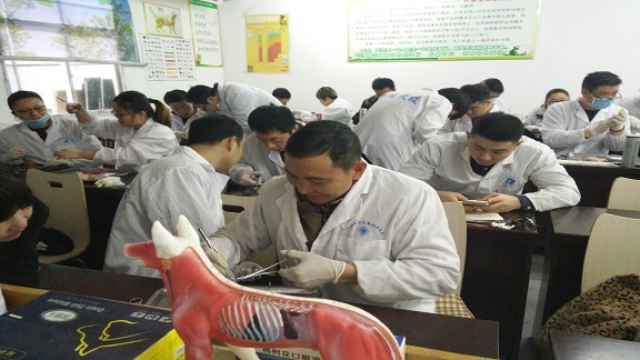 微信图片_20190403212602.jpg