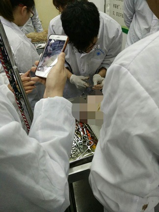 微信图片_20190403212741.jpg