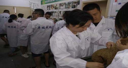 微信图片_20190827150912.jpg