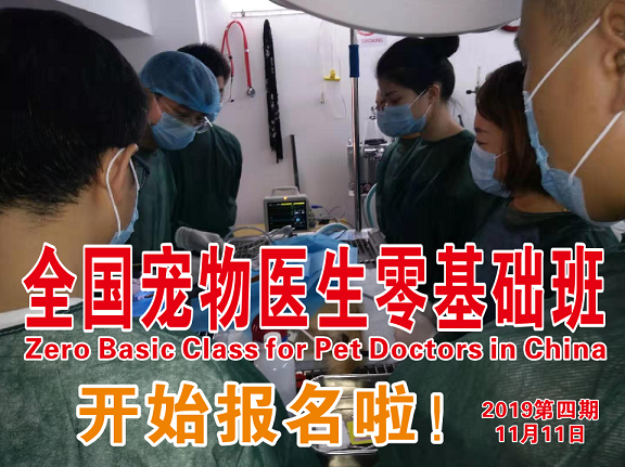 微信图片_20190903221627.png