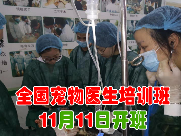 微信图片_20190921202927.png