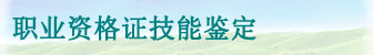 职业资格证技能鉴定