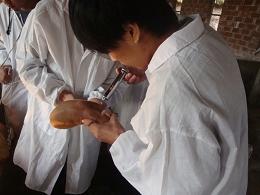小猪做疫苗