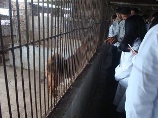 校基地犬场实习