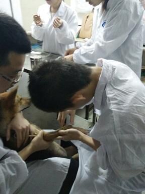 每人留置针
