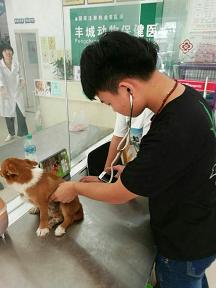 心率听诊