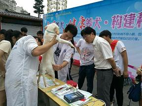 义诊实践