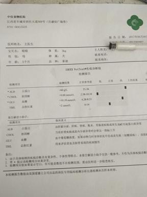 生化数字诊断