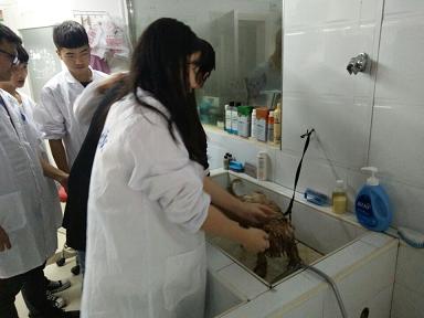 宠物生活实习