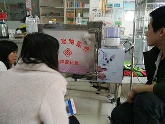 狗狗雾化