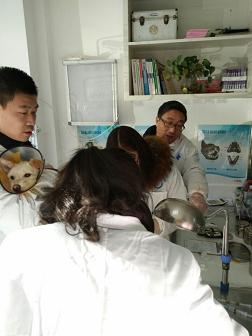 诊疗过程实习